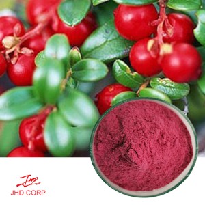 Freeze Dried Cranberry Fruit Powder