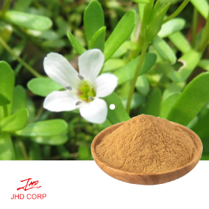 Bacopa Monnieri Extract