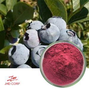 Bilberry Extract-Anthocyanin 25%