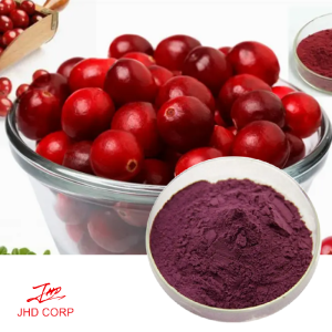 Bilberry Extract-Anthocyanin 25%