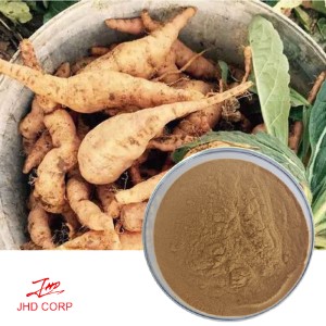 Rehmannia Root Extract-- Natural