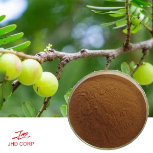  Phyllanthus Emblica Extract