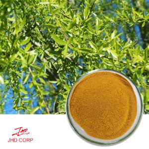 White Willow Bark Extract--Salicin 50%