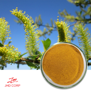 White Willow Bark Extract--Salicin 98%