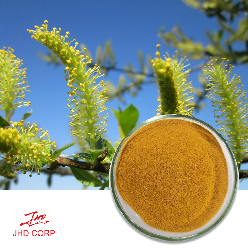 white willow extract
