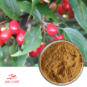 Natural dogwood extract/cornus officinalis extract/fructus corni extract 10:1