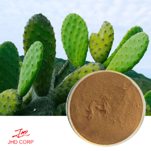 Cactus Extract 10:1