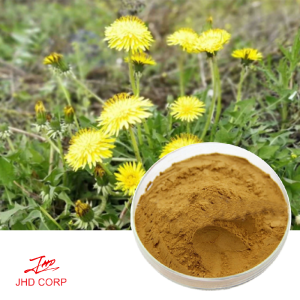 dandelion Extract 3.0%，5.0% flavone（UV）