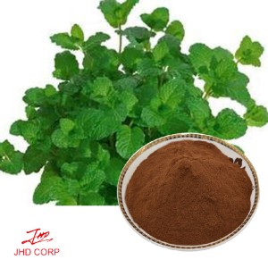 Peppermint Extract--Kosher Halal Certified  Natural Menthol Powder