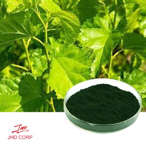 Sodium Copper Chlorophyllin 