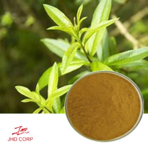 Lemon Verbena Extract 10:1 TLC