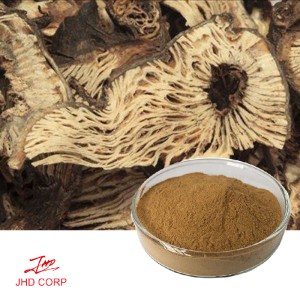 Blackcohosh Extract powder Triterpenoid saponis