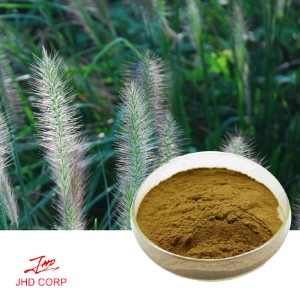 Horsetail Extract