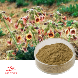 Rehmannia Root Powder