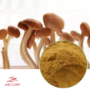 Tea Tree Mushrooms Extract