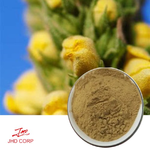 Mullein Extract 10:1 TLC