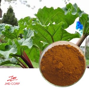 Rhubarb Root Extract 10:1 TLC