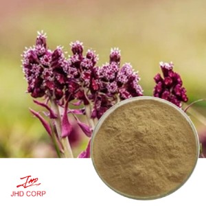 Butterbur Extract 10:1 TLC