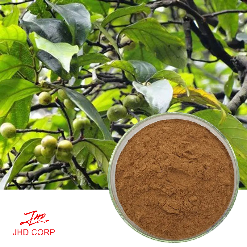 Pygeum Bark Extract Factory Supply