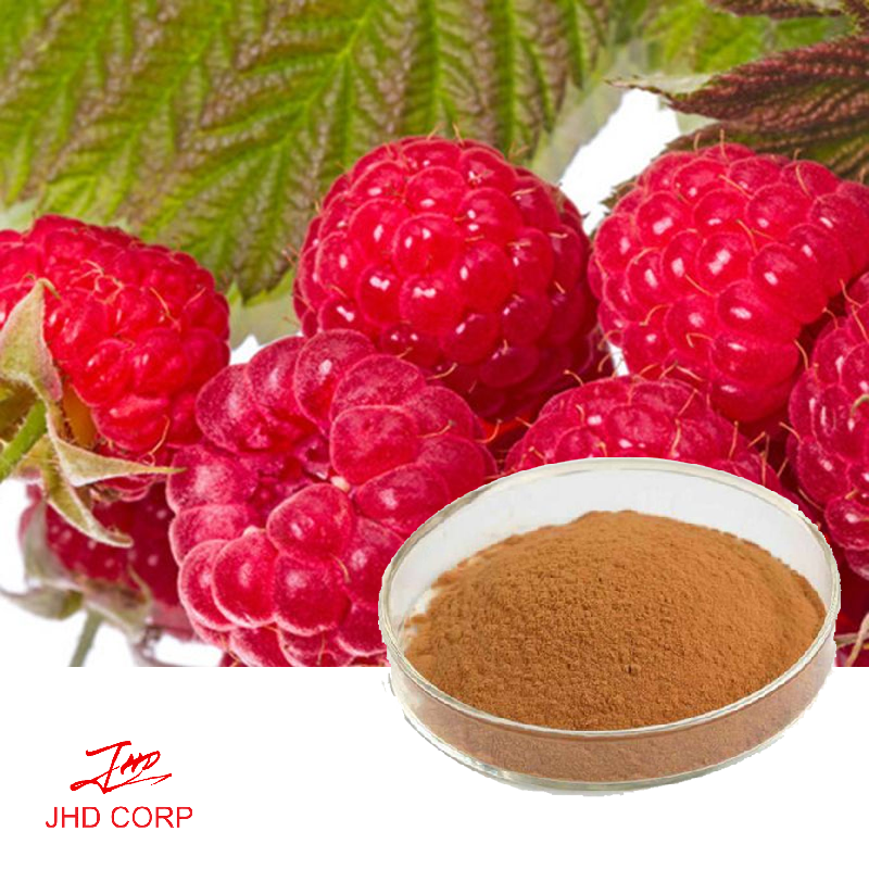 Raspberry Extract 