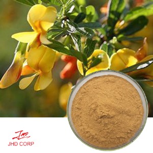 Butcher's broom extract 