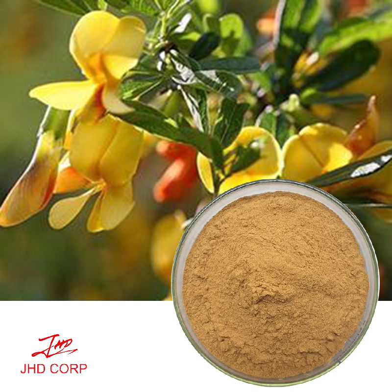 Butcher's broom extract JHD Supply