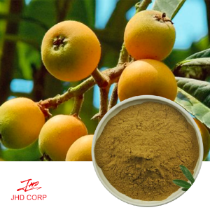 Loquat Extract 10:1 TLC