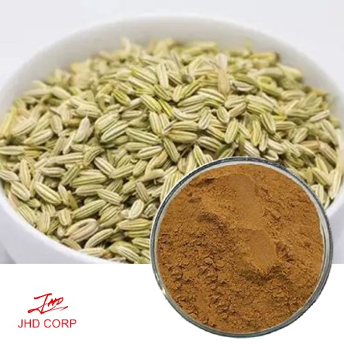 Fennel Seed Extract 10:1 TLC