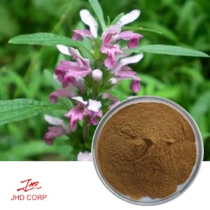 Motherwort Extract 10:1 TLC