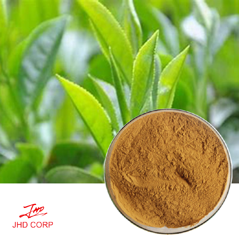 Oolong Tea Extract Polyphenols 30% UV