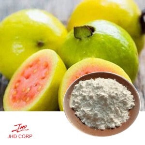 Guava Extract 10:1 TLC