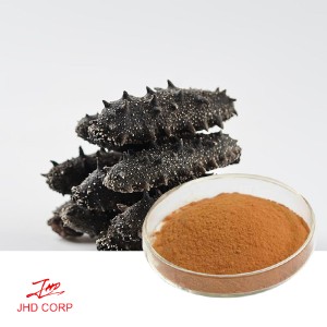 Sea Cucumber Extract Powder