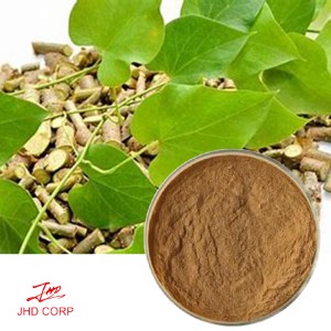 Tinospora Cordifolia Extract 10:1 TLC