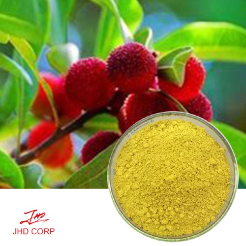 Red Bayberry Extract Myricetin 80% HPLC