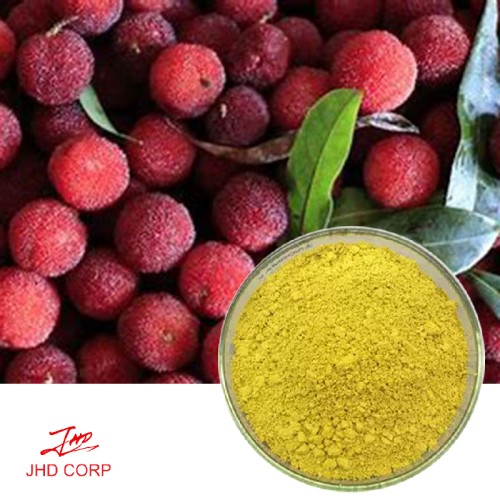 Red Bayberry Extract Myricetin 80% HPLC