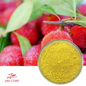 Red Bayberry Extract Myricetin 80% HPLC