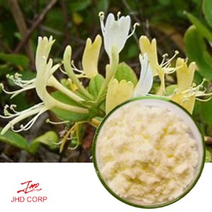 Lonicera Japonica Extract Honeysuckle chlorogenic acid 5%