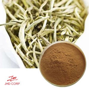 White Tea Extract Polyphenol 15%