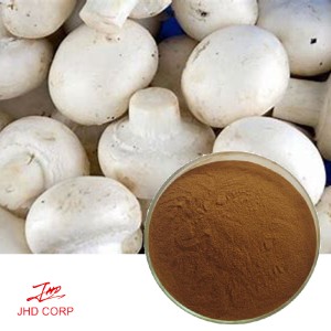 White Button Mushroom Extract Polysaccharide 30%