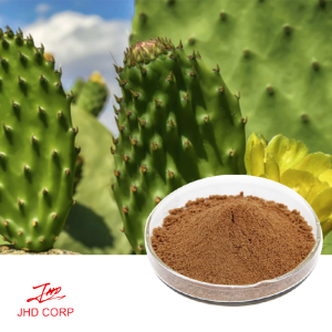 Cactus Extract 10：1