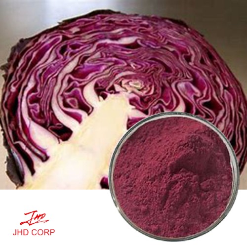 Red Cabbage Extract 10:1 TLC