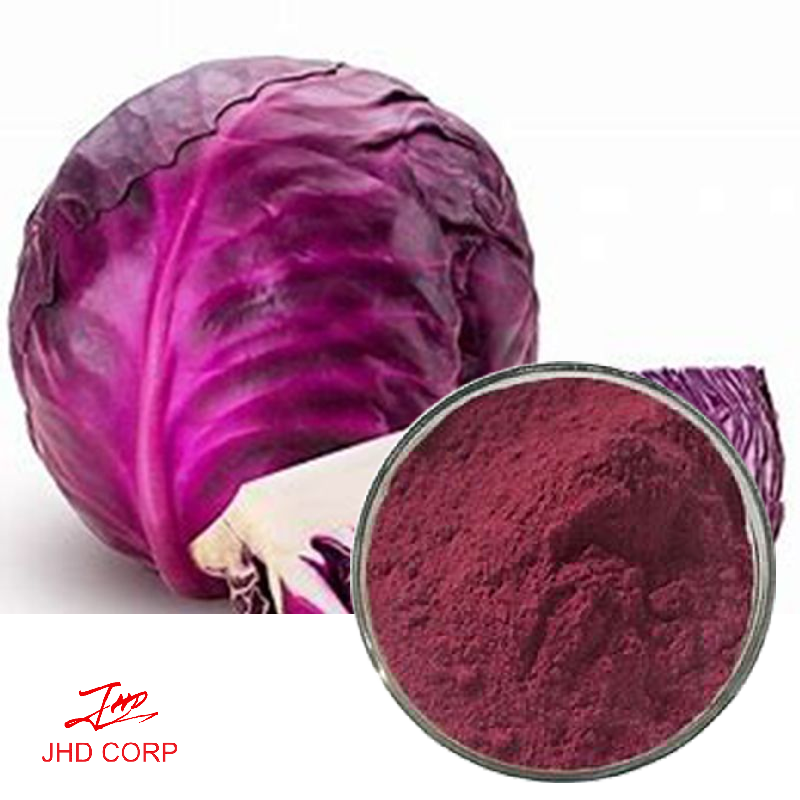Red Cabbage Extract 10:1 TLC