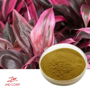 Cordyline Fruticosa Extract 10:1 TLC