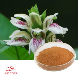 Adhatoda Vasica Extract 10:1 TLC