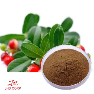  Uva Ursi Extract Straight Powder（Normal & Organic）