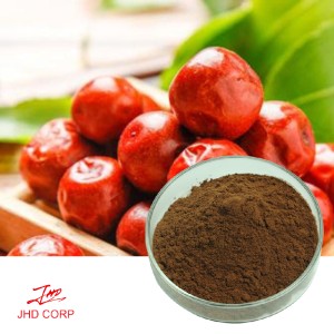 Wild Jujube Extract 10：1