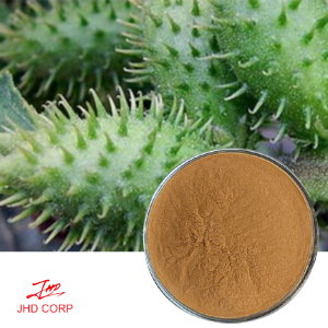 Xanthium Sibiricum Extract Straight Powder（Normal & Organic）