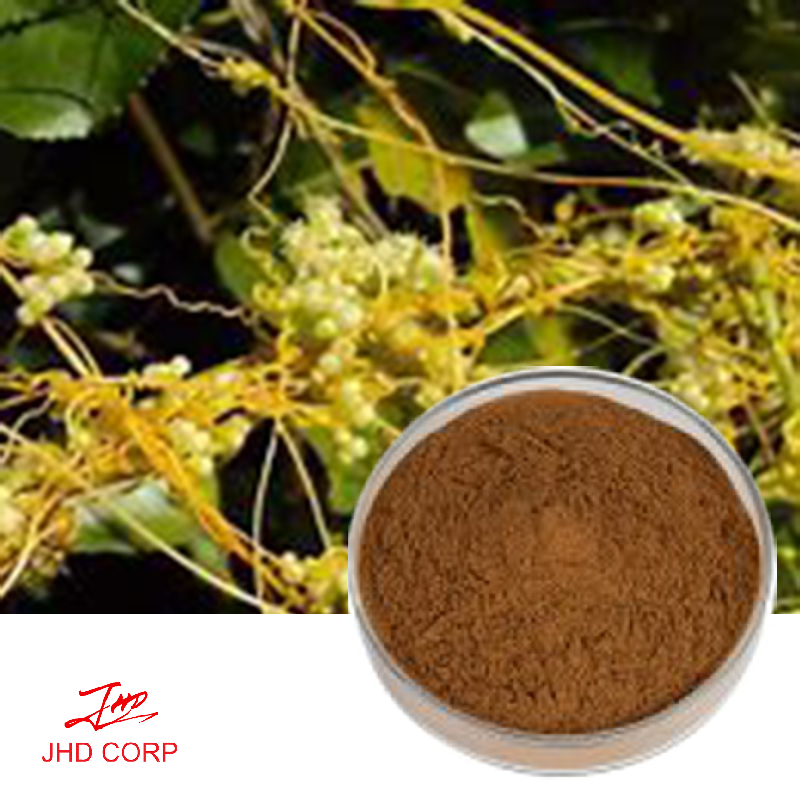 Dodder Seed Extract 10:1 TLC