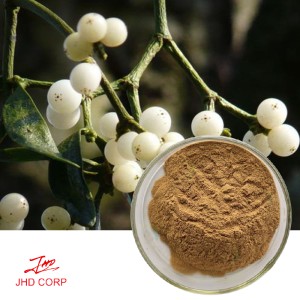 Mistletoe Extract 10：1 TLC