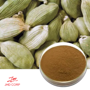 Cardamom Seed Extract 10:1 TLC